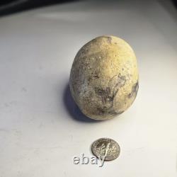 Prehistoric Large Fossilized Dragon Egg One of a Kind