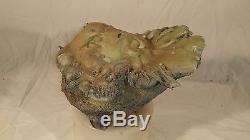 Psuedo Fulgurite Rare large one of a kind Heart of the Desert