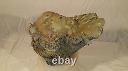 Psuedo Fulgurite Rare large one of a kind Heart of the Desert