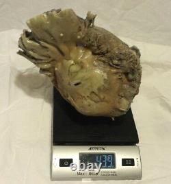 Psuedo Fulgurite Rare large one of a kind Heart of the Desert