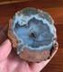 Rare Agate Crystal With Natural Dolphin Picture! Incredible One-of-a-kind Gem