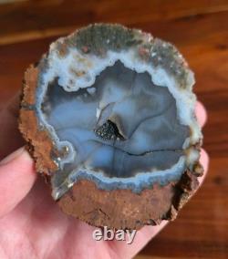 RARE AGATE CRYSTAL with NATURAL DOLPHIN PICTURE! INCREDIBLE ONE-OF-A-KIND GEM