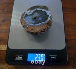 RARE AGATE CRYSTAL with NATURAL DOLPHIN PICTURE! INCREDIBLE ONE-OF-A-KIND GEM