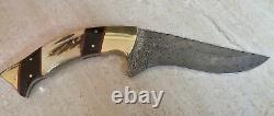 RARE Michael Klaas Handmade Damascus Steel Hunting Knife 12 ONE-OF-A-KIND