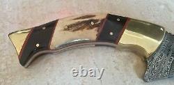 RARE Michael Klaas Handmade Damascus Steel Hunting Knife 12 ONE-OF-A-KIND