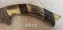 RARE Michael Klaas Handmade Damascus Steel Hunting Knife 12 ONE-OF-A-KIND