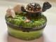 Rare One Of Kind Porcelain Rabbit &turtle Or Tortoise & Hare Trinket Box