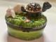 Rare One Of Kind Porcelain Rabbit &turtle Or Tortoise & Hare Trinket Box