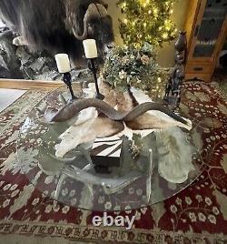 REDUCED$$ Collectible Authentic Moose Antler Table 50 Diameter, ONE OF A KIND