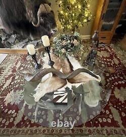 REDUCED$$ Collectible Authentic Moose Antler Table 50 Diameter, ONE OF A KIND