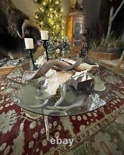 REDUCED$$ Collectible Authentic Moose Antler Table 50 Diameter, ONE OF A KIND