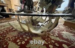 REDUCED$$ Collectible Authentic Moose Antler Table 50 Diameter, ONE OF A KIND