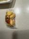 Rare Golden Bowl Double Fortune Cookie One-of-a-kind Packaging Error
