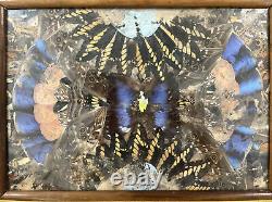 Rare One Of A Kind Vintage Brazilian Inlaid Mahoganyreal Butterfly Glass Tray