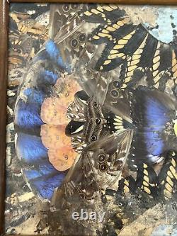 Rare One Of A Kind Vintage Brazilian Inlaid Mahoganyreal Butterfly Glass Tray