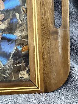 Rare One Of A Kind Vintage Brazilian Inlaid Mahoganyreal Butterfly Glass Tray