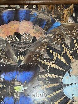 Rare One Of A Kind Vintage Brazilian Inlaid Mahoganyreal Butterfly Glass Tray