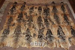 Rare One of a Kind Collectible Botswana Jackal Queen Bed Comforter