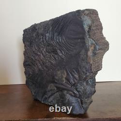 Rare & One-of-a-Kind Natural Rock Eye-Catching Collector's Specimen