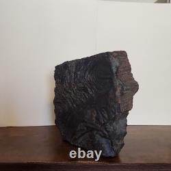 Rare & One-of-a-Kind Natural Rock Eye-Catching Collector's Specimen