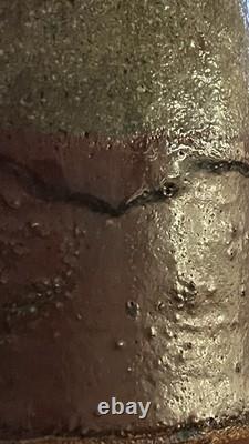 Rare Raku 13th Gen Hiromouto Sake Bottle Natural Ash Glaze One Of A Kind 1/1