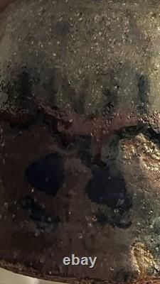 Rare Raku 13th Gen Hiromouto Sake Bottle Natural Ash Glaze One Of A Kind 1/1