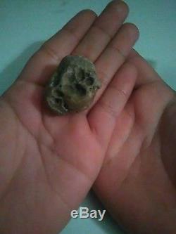 Rare fossil like rock paw special one of a kind