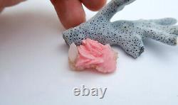 Remarkable One Of A Kind Rare Pink Rhodochrosite & Quartz Specimen Silverton Co