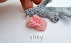 Remarkable One Of A Kind Rare Pink Rhodochrosite & Quartz Specimen Silverton Co