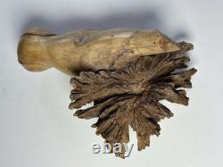 Root Wood Hippopotamus Hippo Carving Rare Unique Beautiful 8x6 One Of A Kind