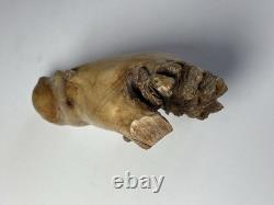 Root Wood Hippopotamus Hippo Carving Rare Unique Beautiful 8x6 One Of A Kind