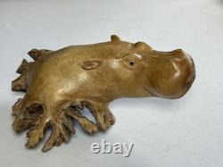 Root Wood Hippopotamus Hippo Carving Rare Unique Beautiful 8x6 One Of A Kind