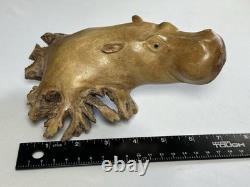 Root Wood Hippopotamus Hippo Carving Rare Unique Beautiful 8x6 One Of A Kind