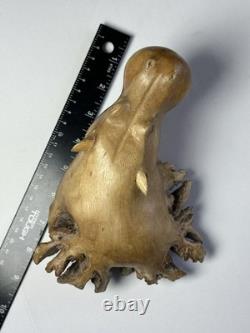 Root Wood Hippopotamus Hippo Carving Rare Unique Beautiful 8x6 One Of A Kind