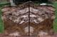 Sis One Of A Kind Biggs Jasper Bookends Captivating 15+ Lb. Colorful Set