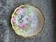 Super Rare One Of A Kind Flower Plate Made In France Made Around 1900