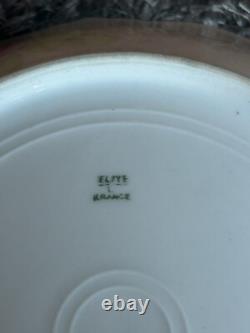 Super Rare One Of A Kind Flower Plate Made In France Made Around 1900