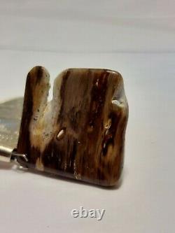 Super rare unique one of a kind Oregon petrified wood polished display piece