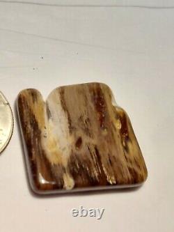 Super rare unique one of a kind Oregon petrified wood polished display piece