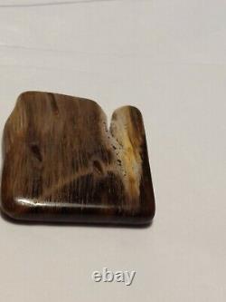 Super rare unique one of a kind Oregon petrified wood polished display piece