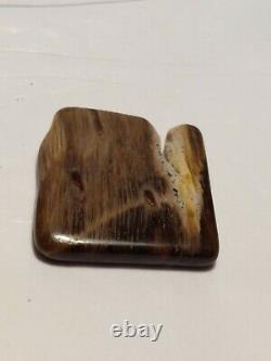 Super rare unique one of a kind Oregon petrified wood polished display piece