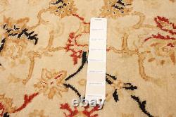 Traditional Hand-Knotted Bordered Carpet 3'10 x 6'1 Wool Area Rug