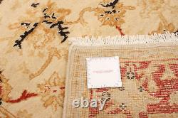 Traditional Hand-Knotted Bordered Carpet 3'10 x 6'1 Wool Area Rug