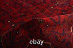 Traditional Hand-Knotted Bordered Tribal Carpet 5'2 x 6'6 Wool Area Rug