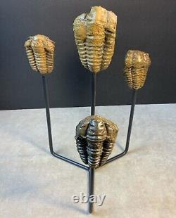 Unique Genuine Trilobites Statue Handmade One-of-a-Kind