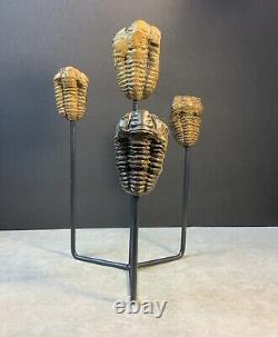 Unique Genuine Trilobites Statue Handmade One-of-a-Kind