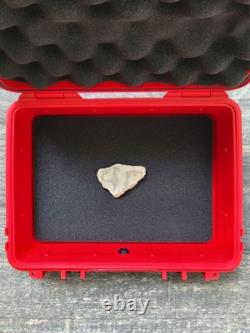 Unique Interesting Rock With Natural 40 Embedded One Of A Kind