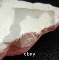 Unique Interesting Rock With Natural 40 Embedded One Of A Kind