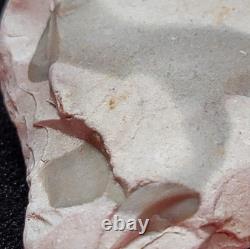 Unique Interesting Rock With Natural 40 Embedded One Of A Kind