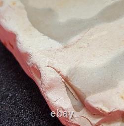 Unique Interesting Rock With Natural 40 Embedded One Of A Kind
